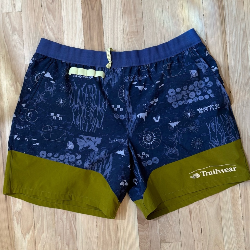 The North Face Athletic Shorts Blue and Green